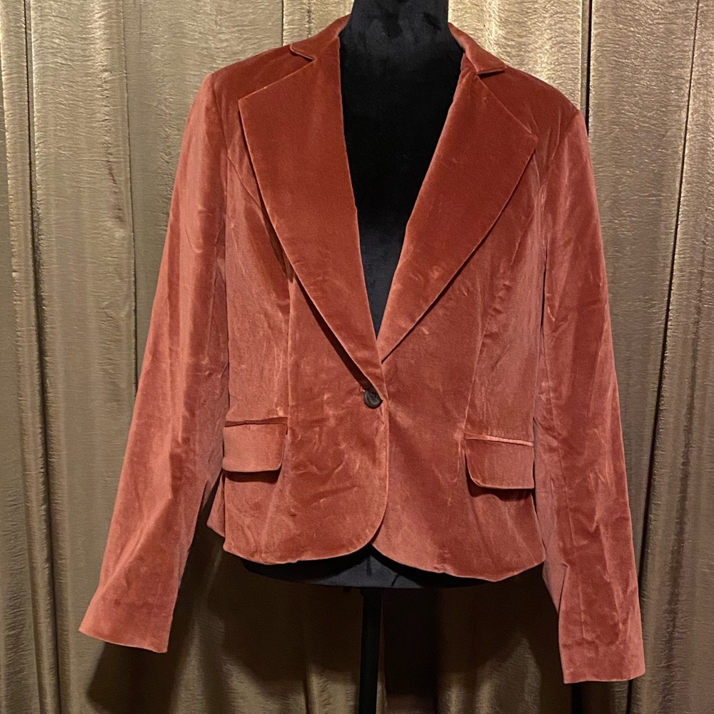 Velveteen Zoe Blazer by Peruvian Connection